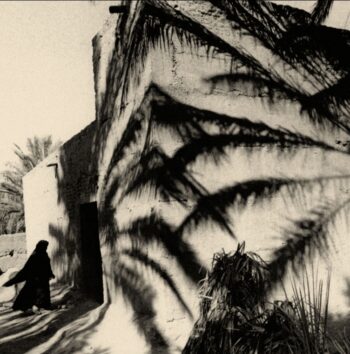 TREE SHADOWS - BW 17