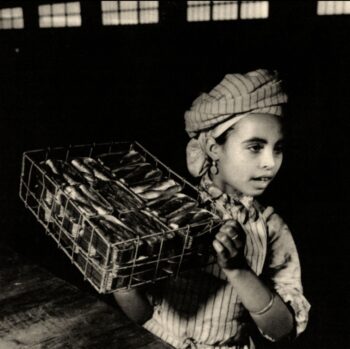 SARDINE GIRL - BW 19